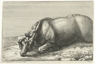 Död häst ses på vänster sida Dead Horses (serietitel)
