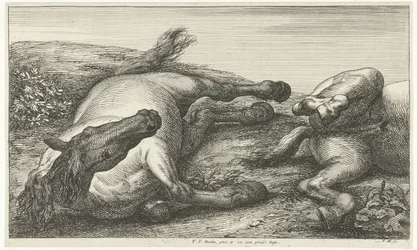 Två fallna hästar, den vänstra sedd framifrån Fallen Horses (serietitel)