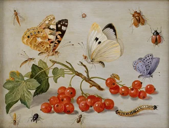 Ett stilleben med en kvist röda vinbär, fjärilar, skalbaggar, larver och insekter (olja på koppar)