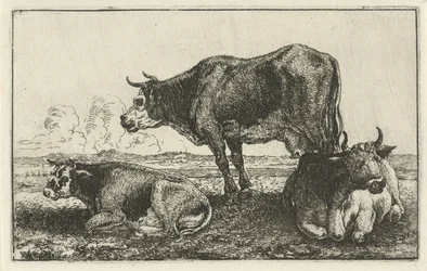 Tre kor Djur (serietitel) Zoographiam (serietitel)