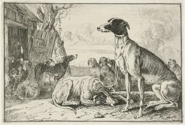 hundkoja Djur (serietitel) Zoographiam (serietitel)