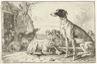 Hundkoja Djur (serietitel) Zoographiam (serietitel)