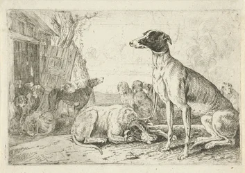 hundkoja Djur (serietitel) Zoographiam (serietitel)