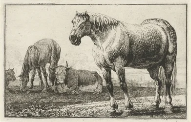 Hästar och kor Djur (serietitel) Zoographiam (serietitel)