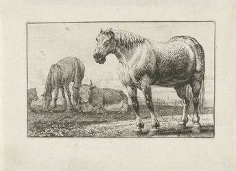 Hästar och kor Djur (serietitel) Zoographiam (serietitel)