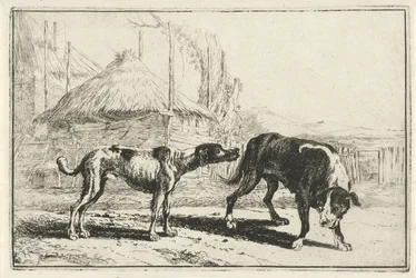 Man och kvinna Djur (serietitel) Zoographiam (serietitel)