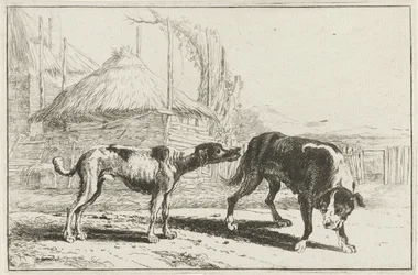Man och kvinna Djur (serietitel) Zoographiam (serietitel)