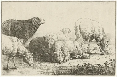 Får Djur (serietitel) Zoographiam (serietitel)