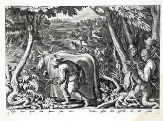 Jakt på starar och rapphöns, illustration från 