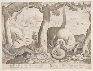 Fight between Elephants and Snakes, tallrik 2 från Hunting of Wild Animals, Birds and Fish-serien