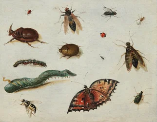 ""Insekter"" (Insekter) Målning av Jan Van Kessel den äldre (1626-1679) Olja på trä Dim 13x16,5 cm Fondation Custodia