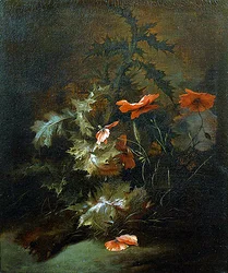 Tistlar och vallmo (olja på duk)