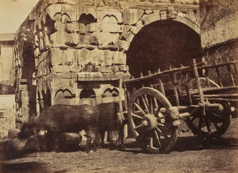 Buffalo Cart, Rom