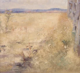 Plogmark om sommaren, ca 1900