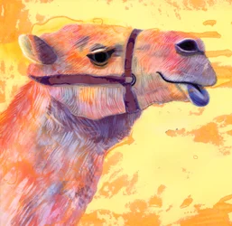 Camel, 1994, (bläck och gouache)