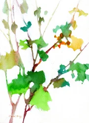 Botanisk bild från innergården, ca 2023 (vattenteknik på papper)