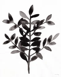 Botanisk med Nagi Fern III (bläck på papper)