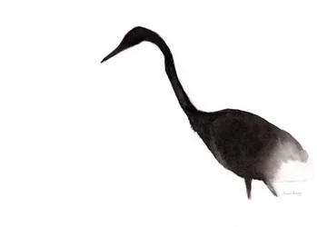 Häger i bläck, ca 2020 (bläck på papper)