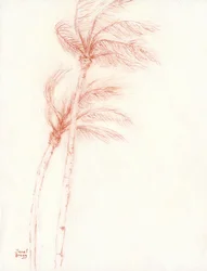 Once Upon a Tropical Vacation Palm Trees, ca 2019 (blyerts på papper)