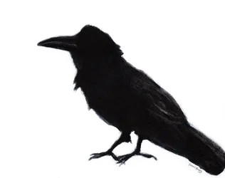 Raven at Baker Beach, ca 2023 (blandteknik på papper)