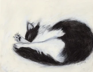 Thomas Taking a Nap, ca 2018 (kol och pastell på papper)