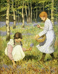 Plocka blåklockor (olja på duk)