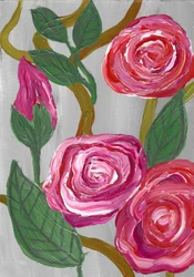 Blommande rosa rosor
