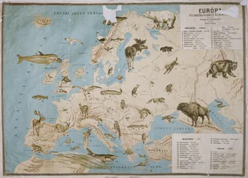 Karta över Europas djur