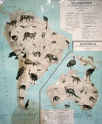 Karta över djur i Sydamerika och Australien