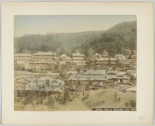 Allmän utsikt över Maruyama Park, Kyoto, Japan (handfärgat svartvitt foto)