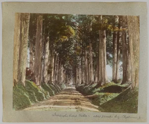 Imaichi Road, Nikko, Japan (handfärgat svartvitt foto)