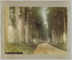 Imaichi Road, Nikko, Japan (handfärgat svartvitt foto)