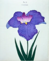 Al-Al-Gasa, nr 19, 1898
