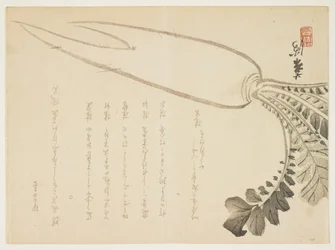 Daikon rädisa, januari 1864 (träblock i färg)