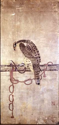 Falk. Japanskt verk från 1400-talet av Daysen. Genua, Museo Chiossone.