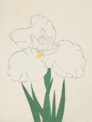 Fuji-ingen snö. 13, 1890