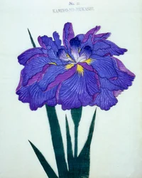 Vi ses. -Det var en gång. 16, 1898