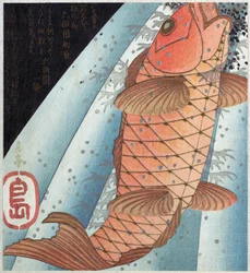 Koi karp; pub. C. 1820