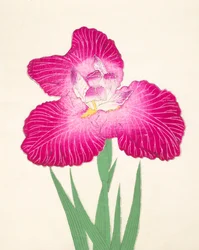 Kyoka. detta. 24, 1898