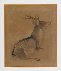 Liggande rådjur (bläck & sepia på papper)