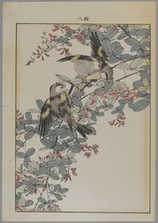 Två fåglar med rosa blommor, Meiji-period, ca 1868-1912 (trätryck i färg)