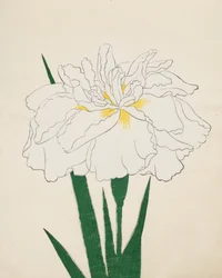 Ujaku-No Nagisa. 61, 1890