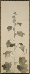 Vita stockrosor, Edo-period, 1615-1868 (bläck, nyans och guld på papper)