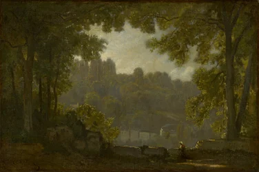 Skogslandskap