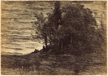 Eremitens skog