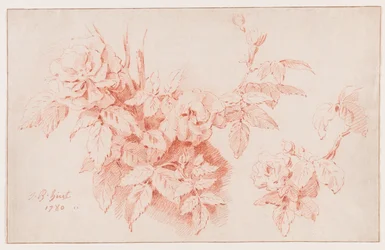 Rosor