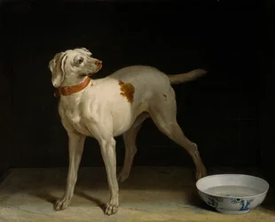 Hund