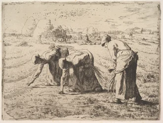 Axplockerskorna
