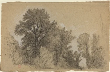 Edge of a Wood