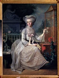 ""Ung dam i en bur"" (Ung dam i en bur) Målning av Jean-Baptiste (Jean Baptiste) Charpentier (1728-1806) 1784 Pushkin-museet, Moskva